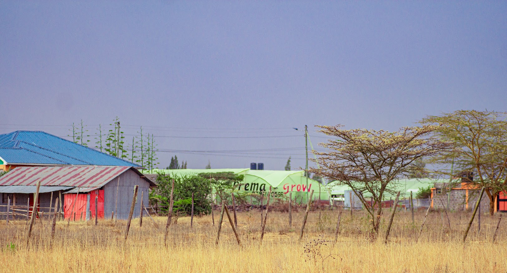 Green house
